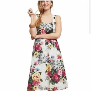 EUC - worn once - Anthropologie Amelia roses/ floral and farm scene, size 12